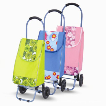 Trolley luggage with wheels